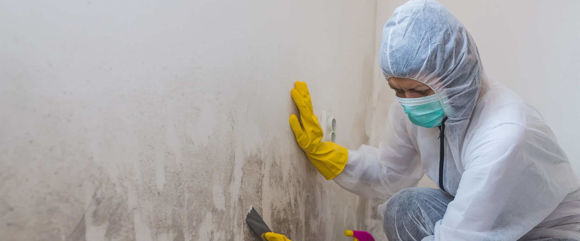 Is mold inspection free?