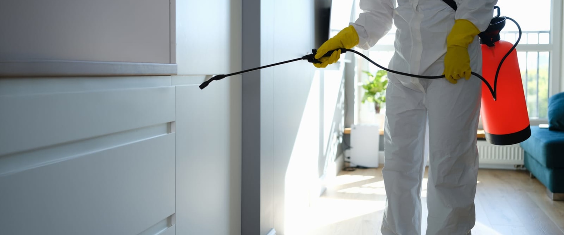 Mold Removal In Tyler, TX: Taking Action After An Inspection Report