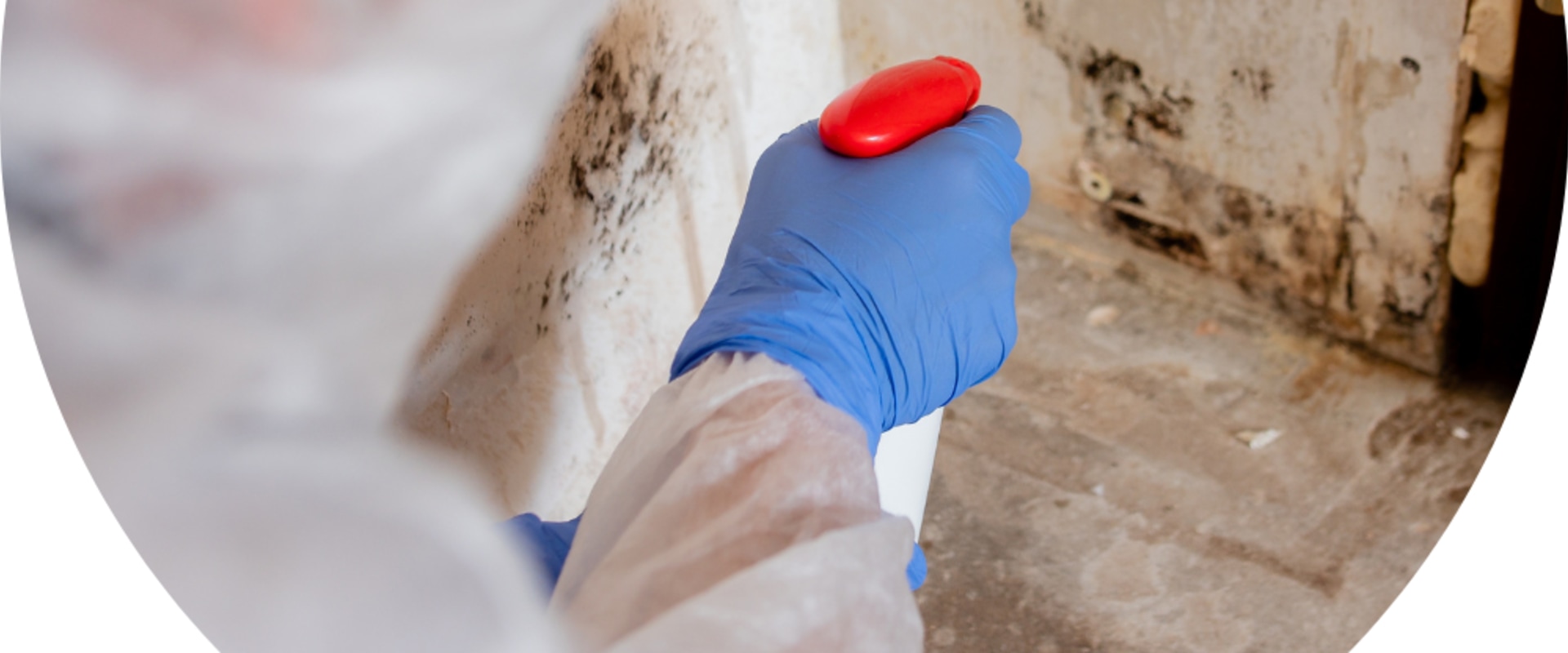 How To Safeguard Your Home With A Complete Mold Inspection In Charleston And Expert Deep Clean Services