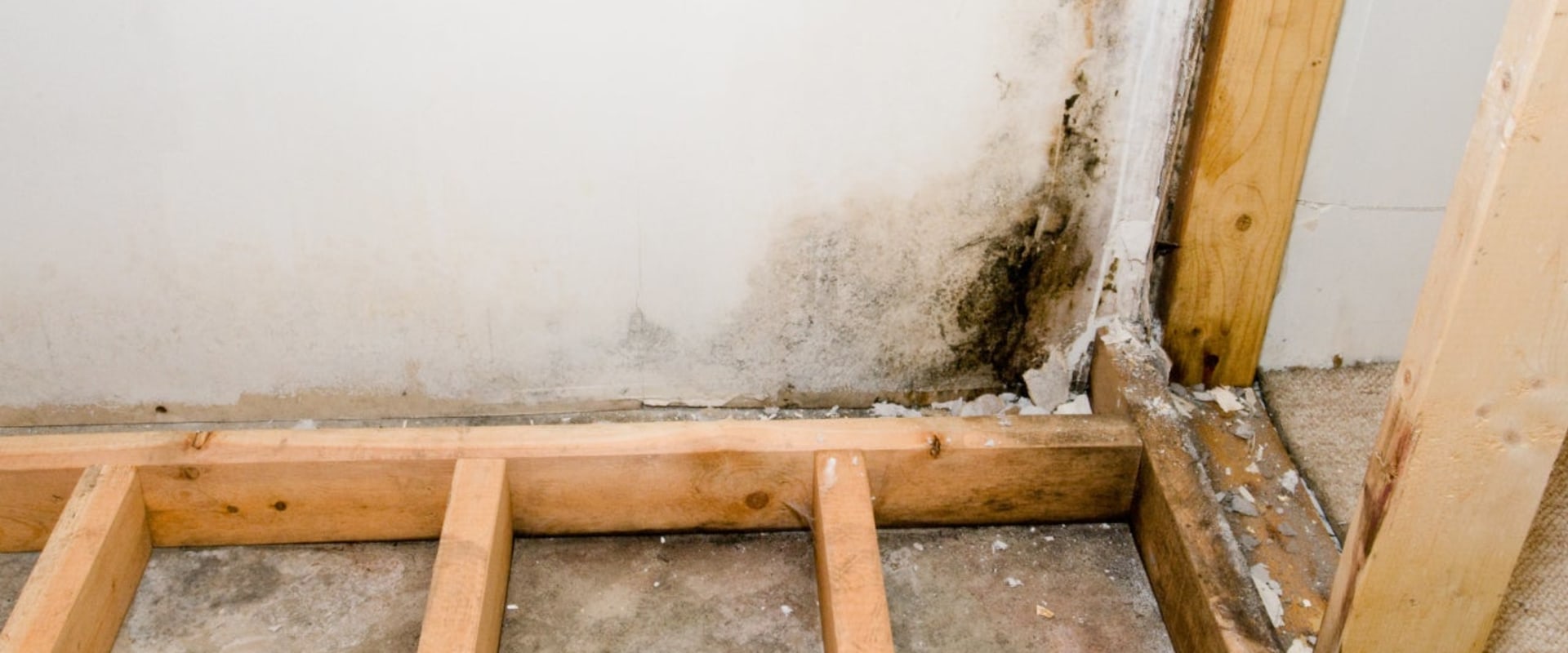 Can mold remediation be covered by insurance?