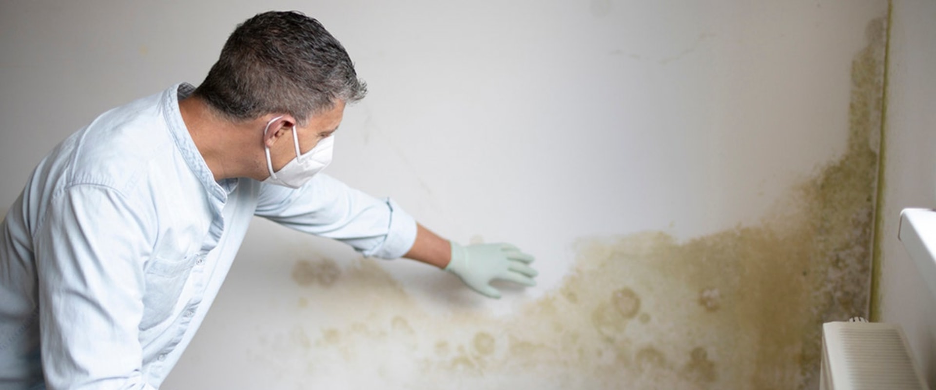 Mold In South Salt Lake: How Professional Remediation And Inspection Can Protect Your Family's Health