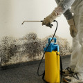 How mold inspection is done?