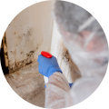 How To Safeguard Your Home With A Complete Mold Inspection In Charleston And Expert Deep Clean Services