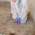 The Importance Of Mold Inspection: Ensuring A Safe And Healthy Home In Post Falls