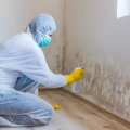 Can mold remediation be capitalized?