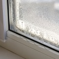 Why Mold Inspection Matters: A Student's Guide To A Clean Winter Garden Home