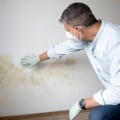 Mold In South Salt Lake: How Professional Remediation And Inspection Can Protect Your Family's Health