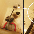 How An Emergency Plumbing Service Can Prevent Mould Growth Prior To Mould Inspection In Adelaide