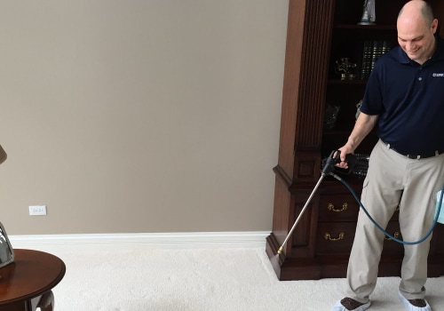 Breathe Easy: The Importance Of Mold Inspection And Upholstery Cleaning In Chicago Homes