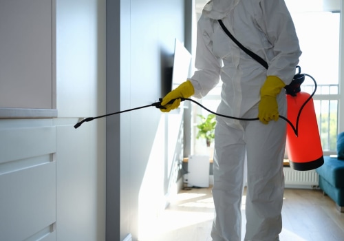 Mold Removal In Tyler, TX: Taking Action After An Inspection Report