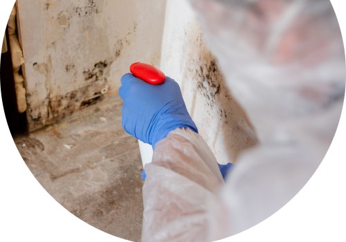 How To Safeguard Your Home With A Complete Mold Inspection In Charleston And Expert Deep Clean Services