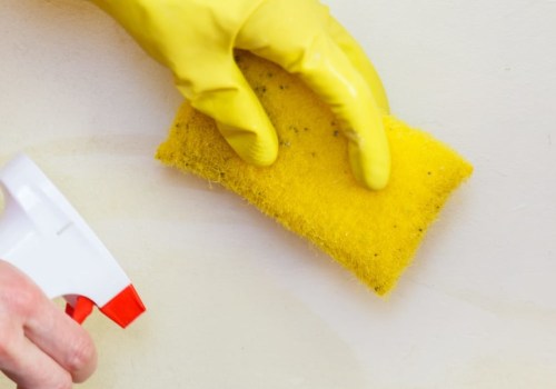 What happens during mold testing?