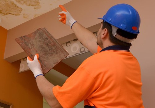 How do inspectors check for mold?