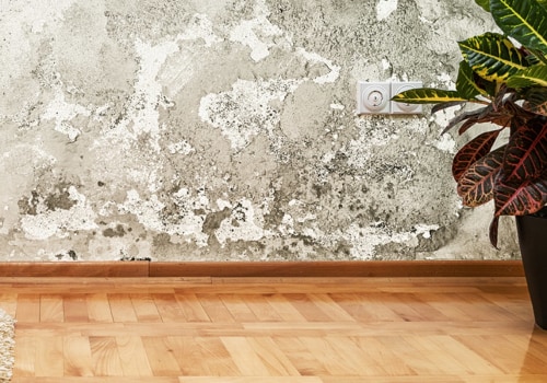 Is mold a deal breaker when buying a house?
