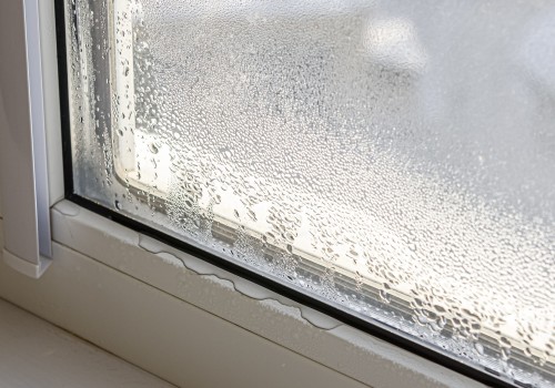 Why Mold Inspection Matters: A Student's Guide To A Clean Winter Garden Home