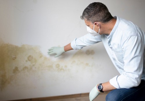 Mold In South Salt Lake: How Professional Remediation And Inspection Can Protect Your Family's Health