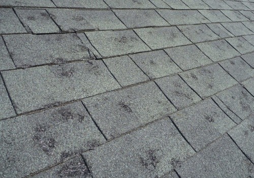 The Importance Of Timely Roof Hail Damage Repair For Preventing Mold In Northern Virginia