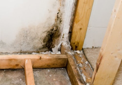 Can mold removal be covered by insurance?