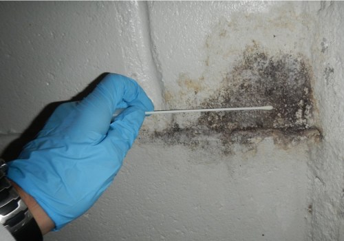 Why mold testing?